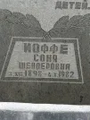 Захоронение ID 230647