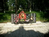 Братская могила , д. Новые Зеленки  820