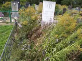 Захоронение ID 228926