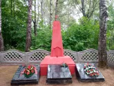 Братская могила  д. Лиопино 4449