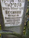 Захоронение ID 231949