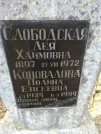 Захоронение ID 235639