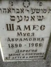 Захоронение ID 235706