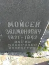 Захоронение ID 236062