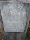 Захоронение ID 236159
