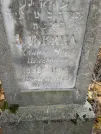 Захоронение ID 253216