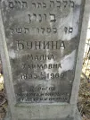 Захоронение ID 254040