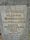 Захоронение ID 254169