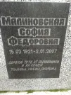 Захоронение ID 254188