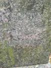 Захоронение ID 254230