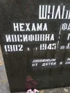 Захоронение ID 254397