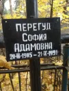 Захоронение ID 254413