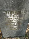 Захоронение ID 254753