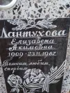 Захоронение ID 255598
