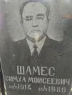 Захоронение ID 255834