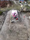 Захоронение ID 262698