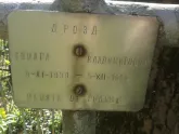 Захоронение ID 61239