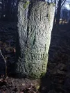 Захоронение ID 291006