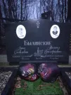 Захоронение ID 290999