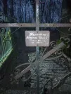Захоронение ID 290994