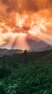 Захоронение ID 319857