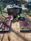 Захоронение ID 353503