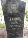 Захоронение ID 561510