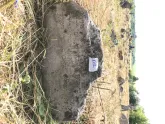 Захоронение ID 613424