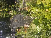 Захоронение ID 610883