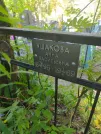Захоронение ID 613430