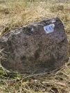 Захоронение ID 613436