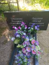 Захоронение ID 615551
