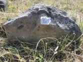 Захоронение ID 616049