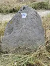 Захоронение ID 616929