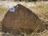 Захоронение ID 617053
