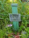 Захоронение ID 617144