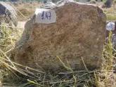 Захоронение ID 617184