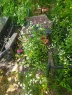 Захоронение ID 618699