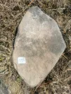 Захоронение ID 618805