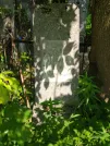 Захоронение ID 619005