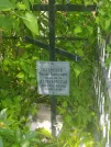 Захоронение ID 620331