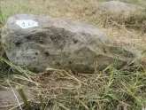 Захоронение ID 620362