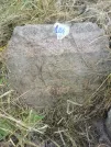 Захоронение ID 620369