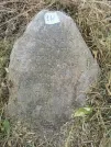 Захоронение ID 620389