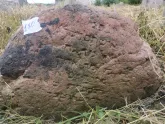 Захоронение ID 620391