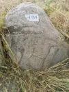 Захоронение ID 620410