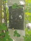 Захоронение ID 620416