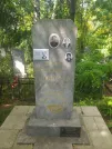 Захоронение ID 620431
