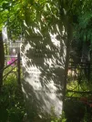 Захоронение ID 620444