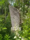 Захоронение ID 620472